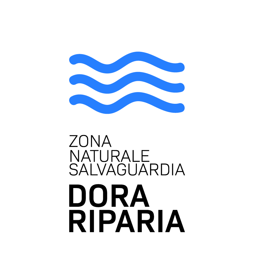 jpg_ZNS_3_formati_esteso-02