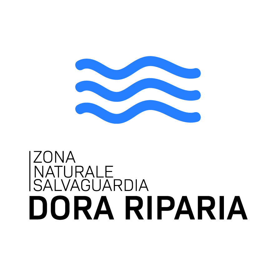 jpg_ZNS_3_formati_esteso-03