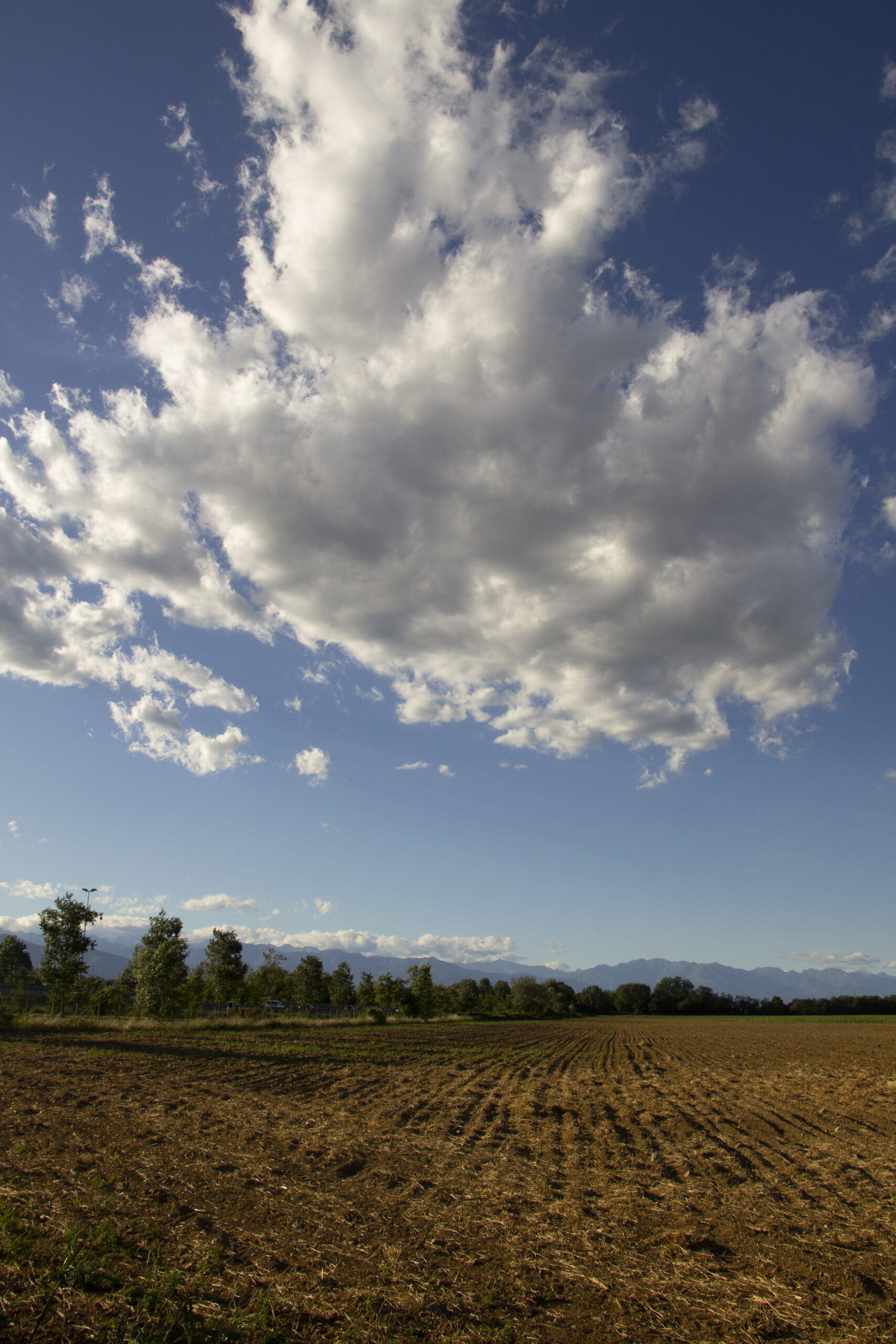 parcodelladora_35