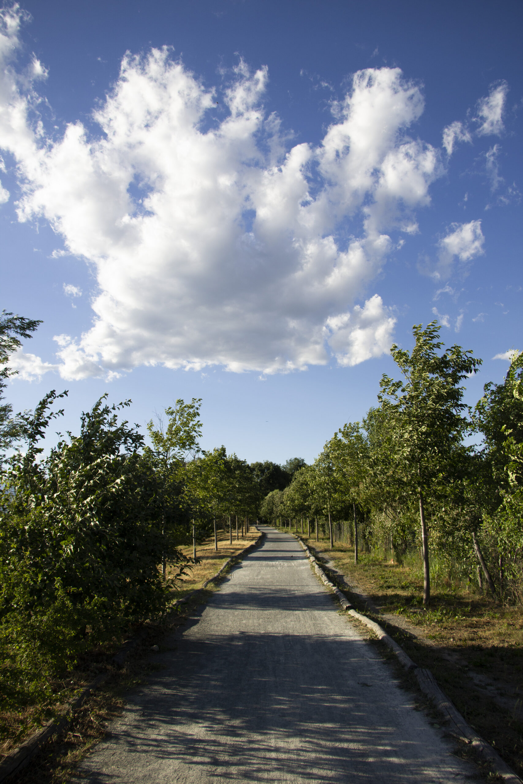 parcodelladora_42