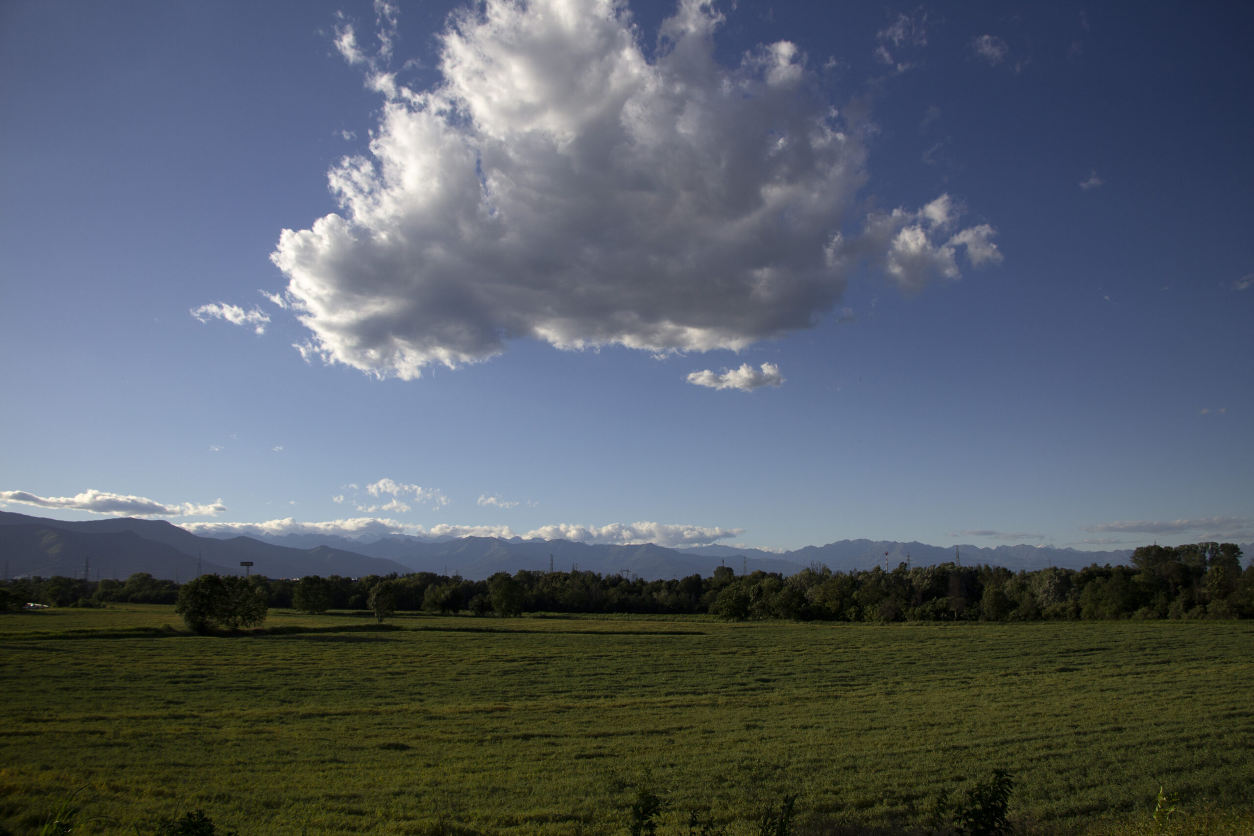 parcodelladora_45