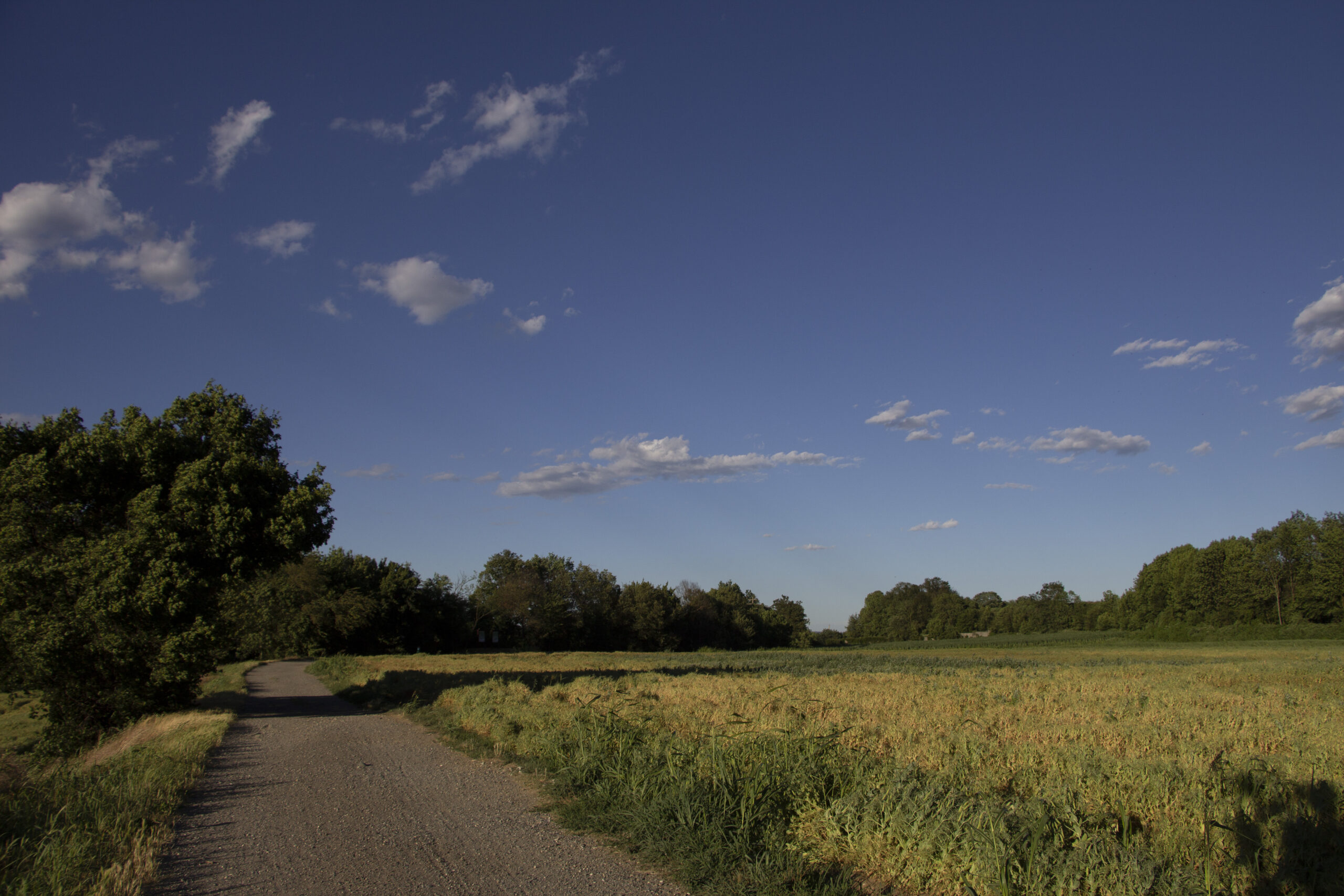 parcodelladora_46