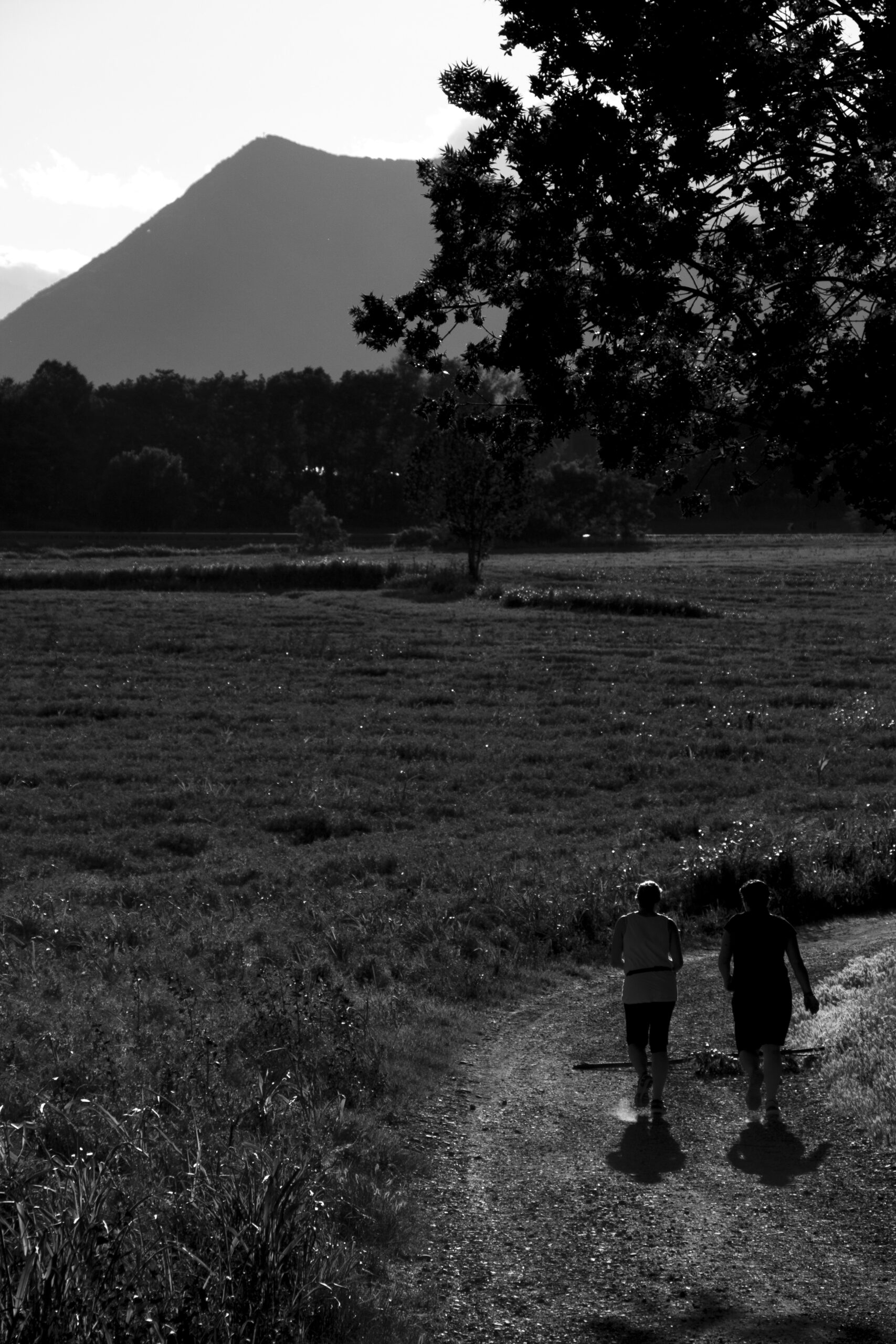 parcodelladora_48