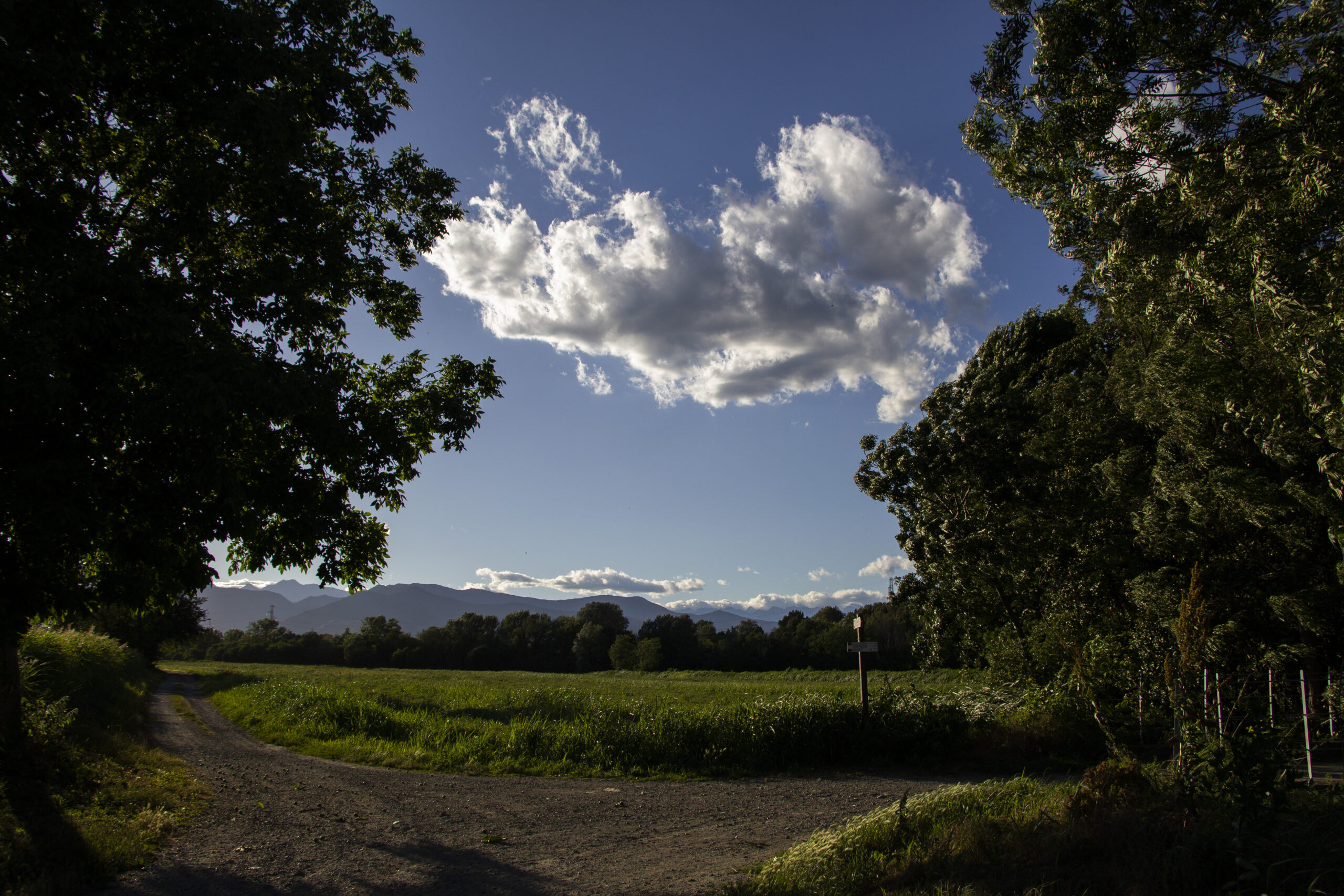 parcodelladora_51