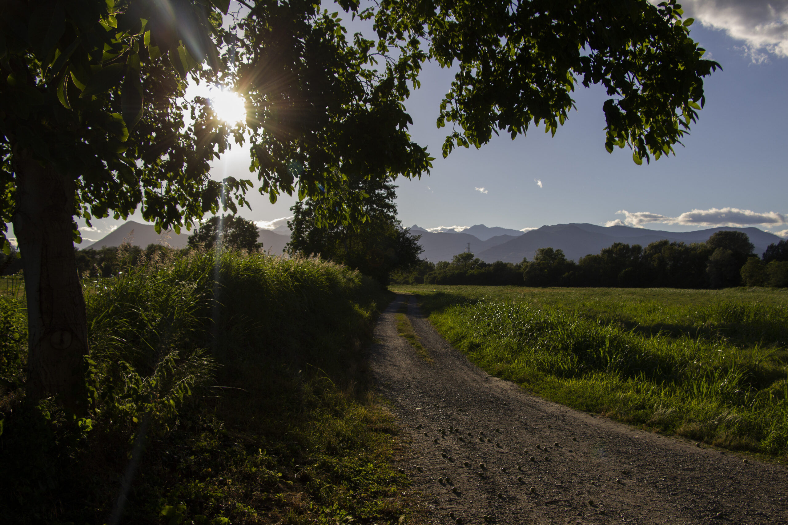 parcodelladora_52