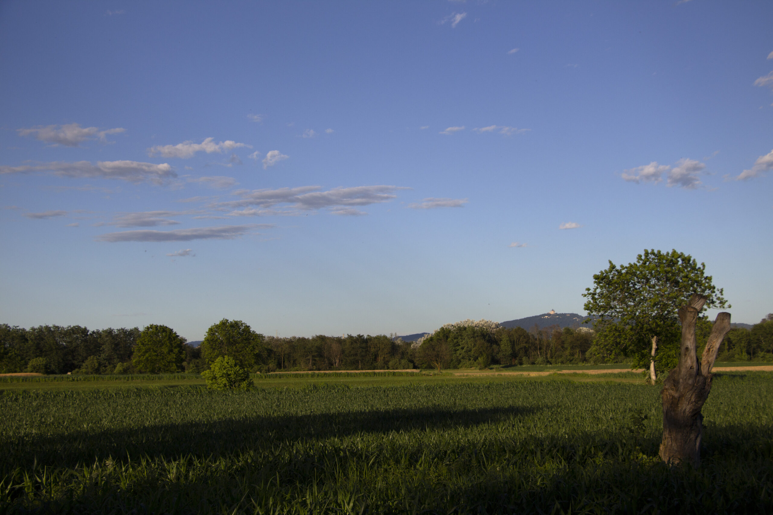 parcodelladora_58