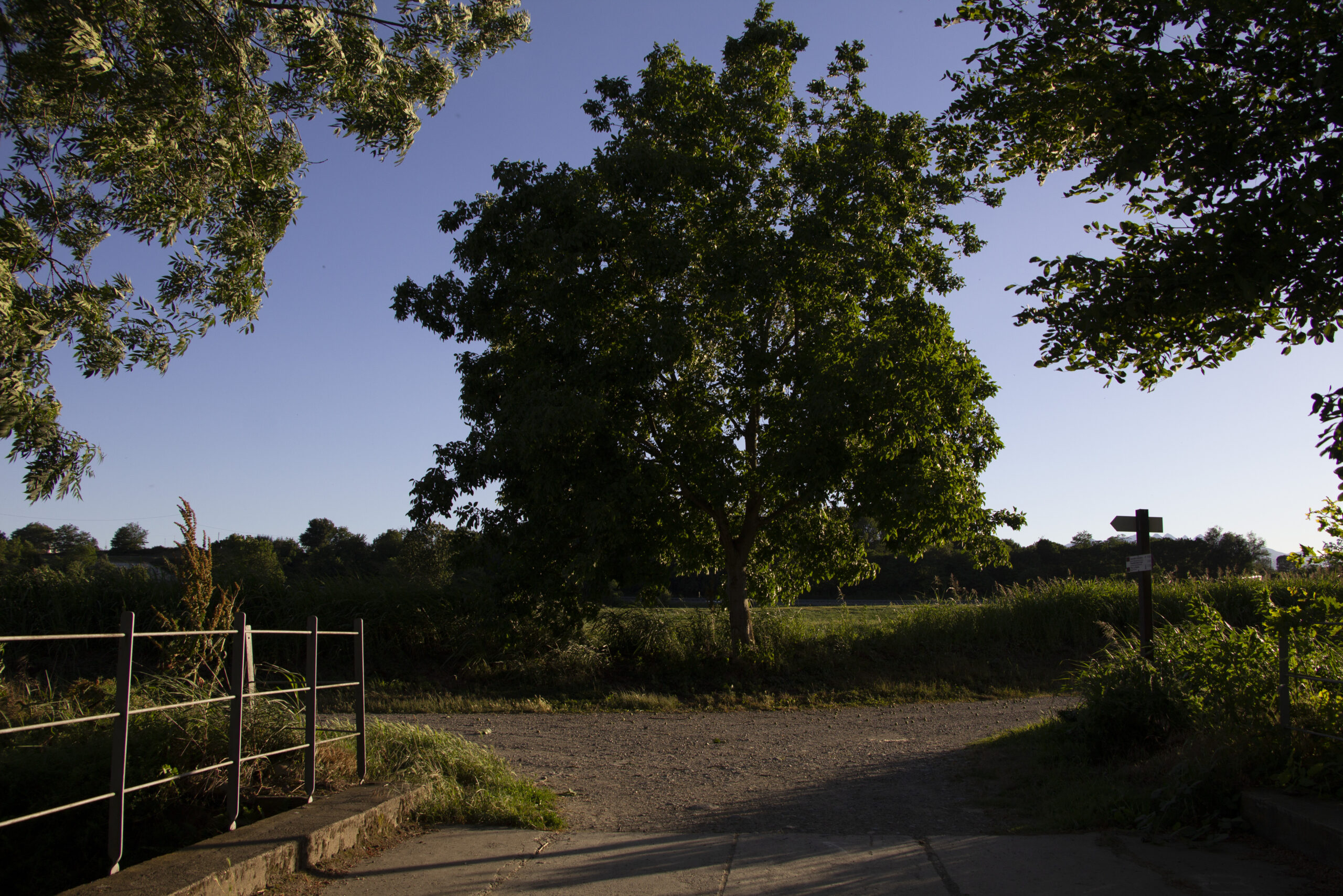parcodelladora_60