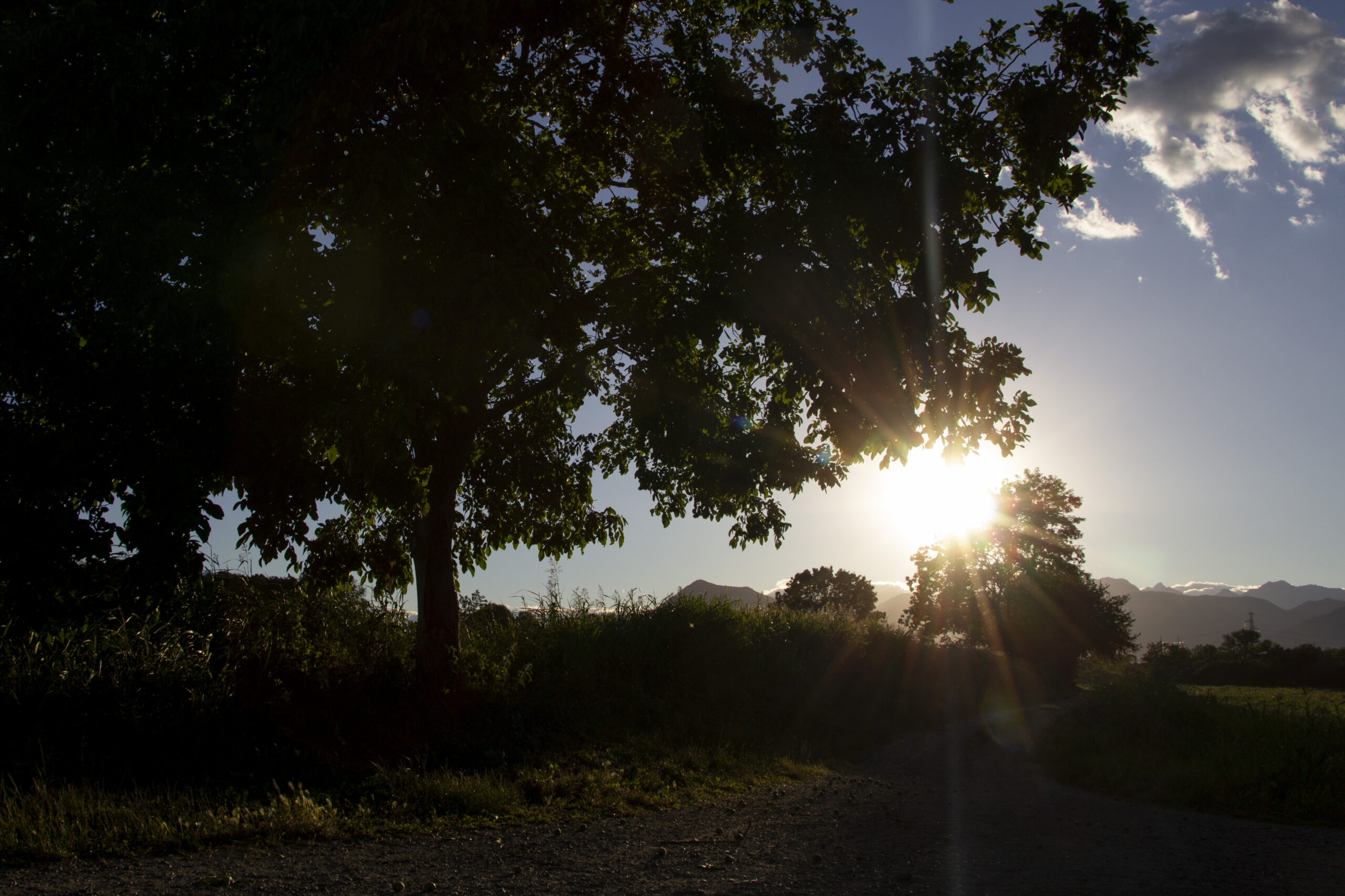 parcodelladora_61