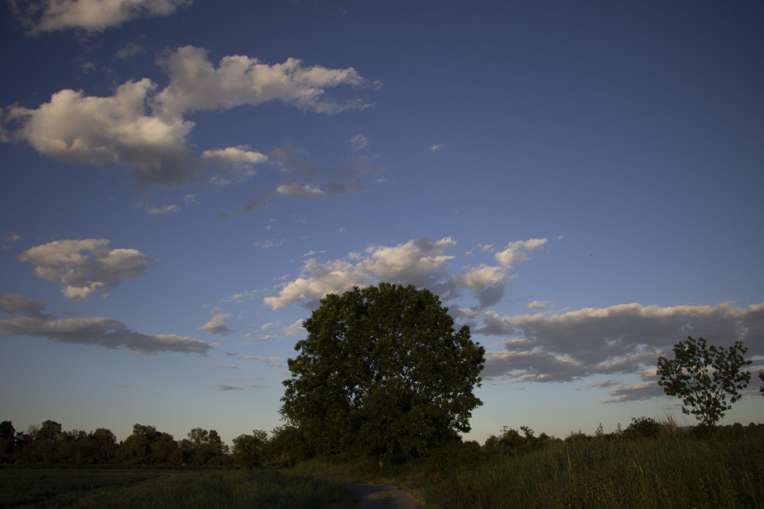 parcodelladora_66